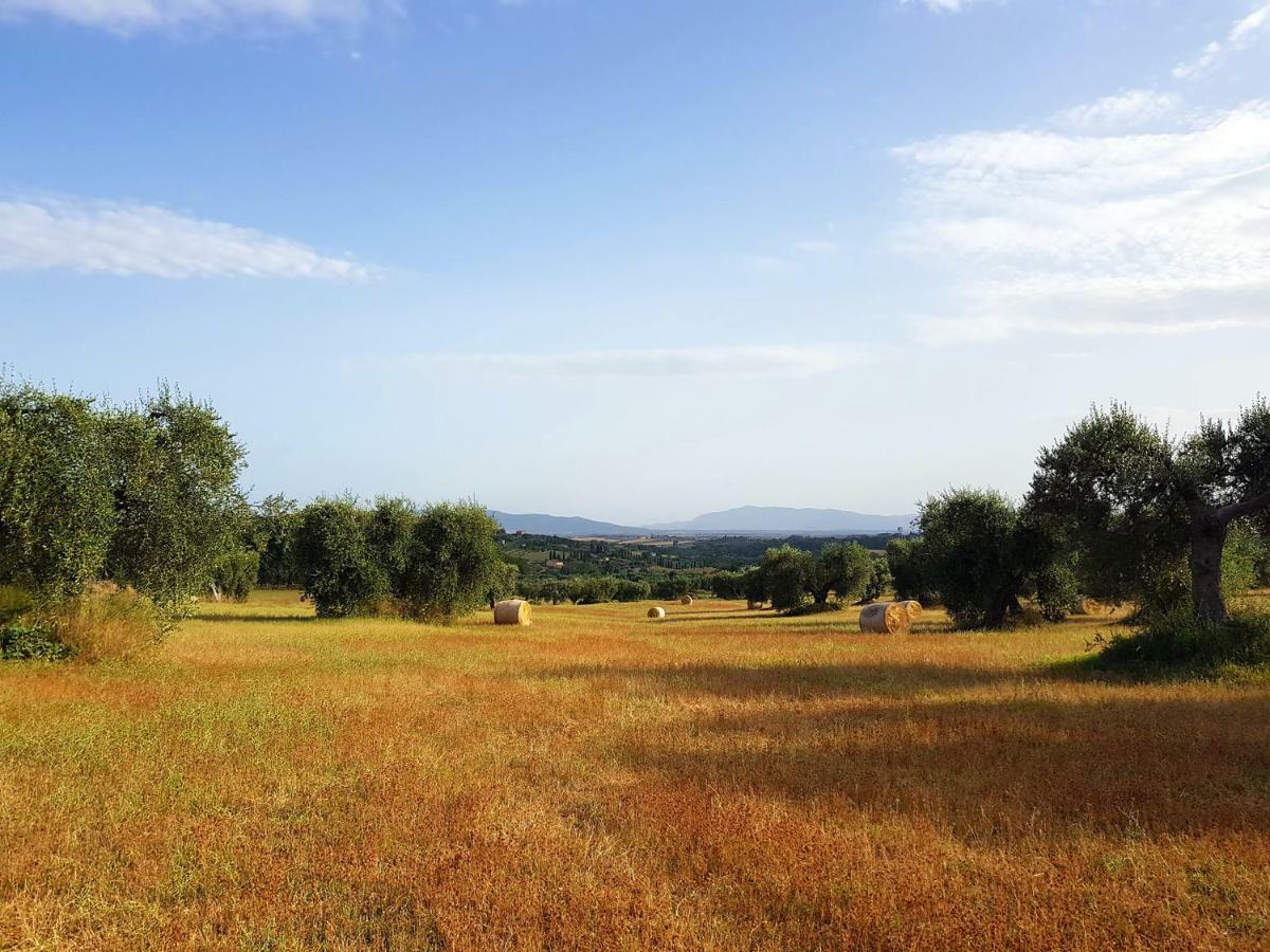 B&B Il Glicine Montefollonico Luaran gambar